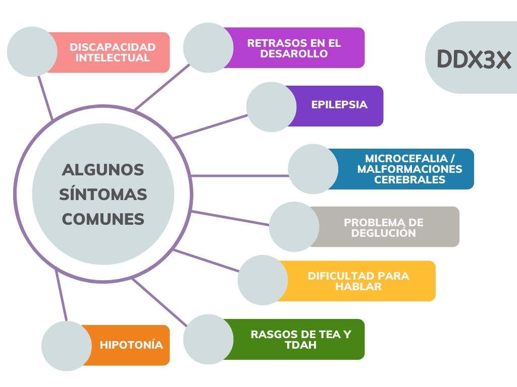 Alcorcón investigará la enfermedad rara DDX3X con la colaboración de ESMASA