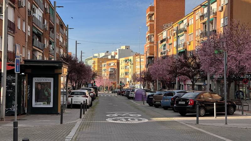 Avenida de la Constitución en Móstoles