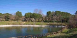 El Taller de las ideas de Alcorcón: El Parque de Las Presillas