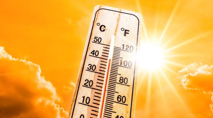 Alcorcón se suma al Plan de Actuación por las altas temperaturas
