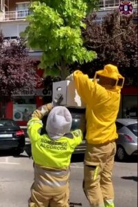 Gran incendio de la empresa Papelera Solis de Alcorcón