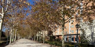 El mercadillo de Alcorcón triunfa entre los influencers
