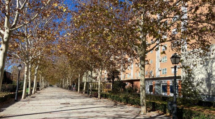 El mercadillo de Alcorcón triunfa entre los influencers
