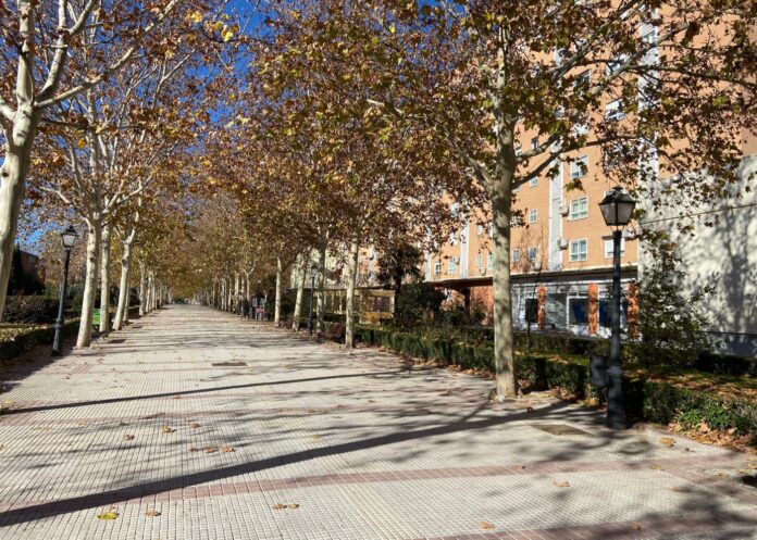 El mercadillo de Alcorcón triunfa entre los influencers