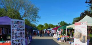La IV Feria de Adopción regresa a Alcorcón este fin de semana