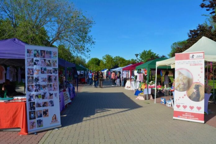 La IV Feria de Adopción regresa a Alcorcón este fin de semana