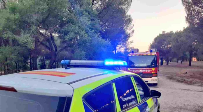 Pillado un hombre a punto de iniciar un incendio en Las Presillas de Alcorcón