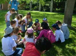 Los Campamentos de Verano 2024 ya son una realidad en Alcorcón