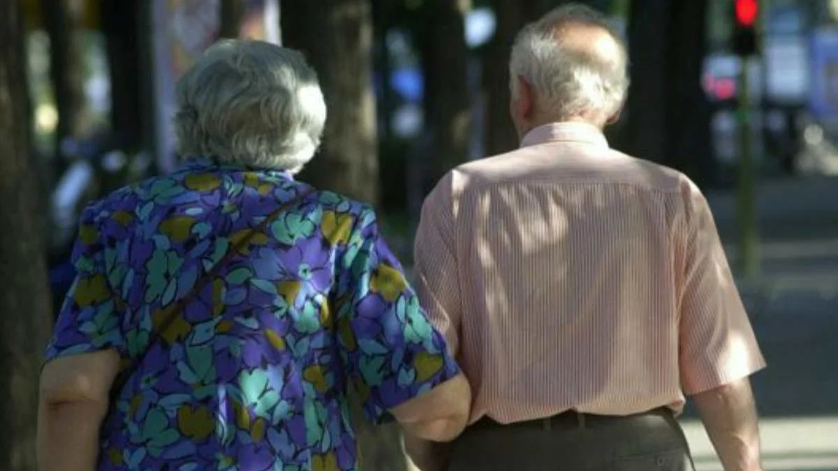 Carnet Senior para mayores de 60 en Alcorcón: cómo aprovechar todos sus beneficios Carnet Senior para mayores de 60 en Alcorcón: cómo aprovechar todos sus beneficios