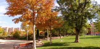 El Partido Popular de Alcorcón impulsa un plan para revitalizar el Parque de La Ribota