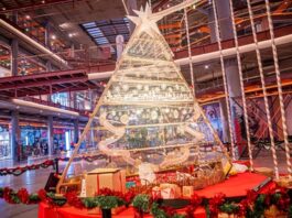 El Árbol Mágico, Circuitos de Karts y mucha Navidad en Alcorcón gracias a X-Madrid