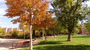 Aviso amarillo este lunes en Alcorcón por fuertes rachas de viento