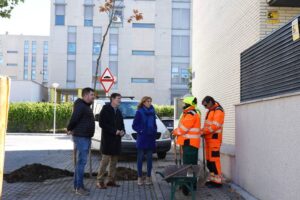 El nuevo acuerdo para el servicio de riego de arbolado de Alcorcón