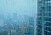 Nueva columna pensada para salpicarnos con la bella intrascendencia de la lluvia. Desde mi Colmena en Alcorcón: Mirando por la ventana 