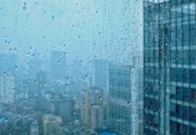 Nueva columna pensada para salpicarnos con la bella intrascendencia de la lluvia. Desde mi Colmena en Alcorcón: Mirando por la ventana 