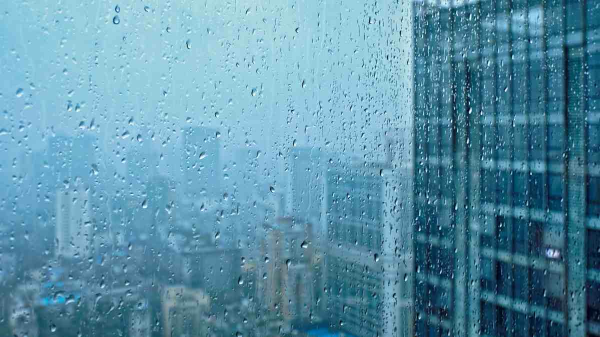 Nueva columna pensada para salpicarnos con la bella intrascendencia de la lluvia. Desde mi Colmena en Alcorcón: Mirando por la ventana 