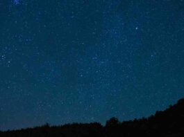 Historias de borrachos en Alcorcón. Primera historia: ¿Qué es eso?