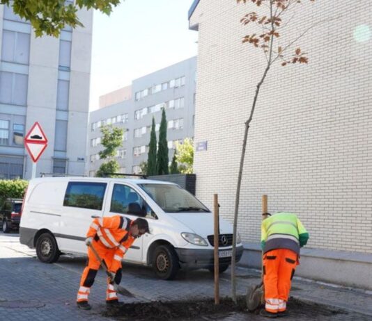 El nuevo acuerdo para el servicio de riego de arbolado de Alcorcón