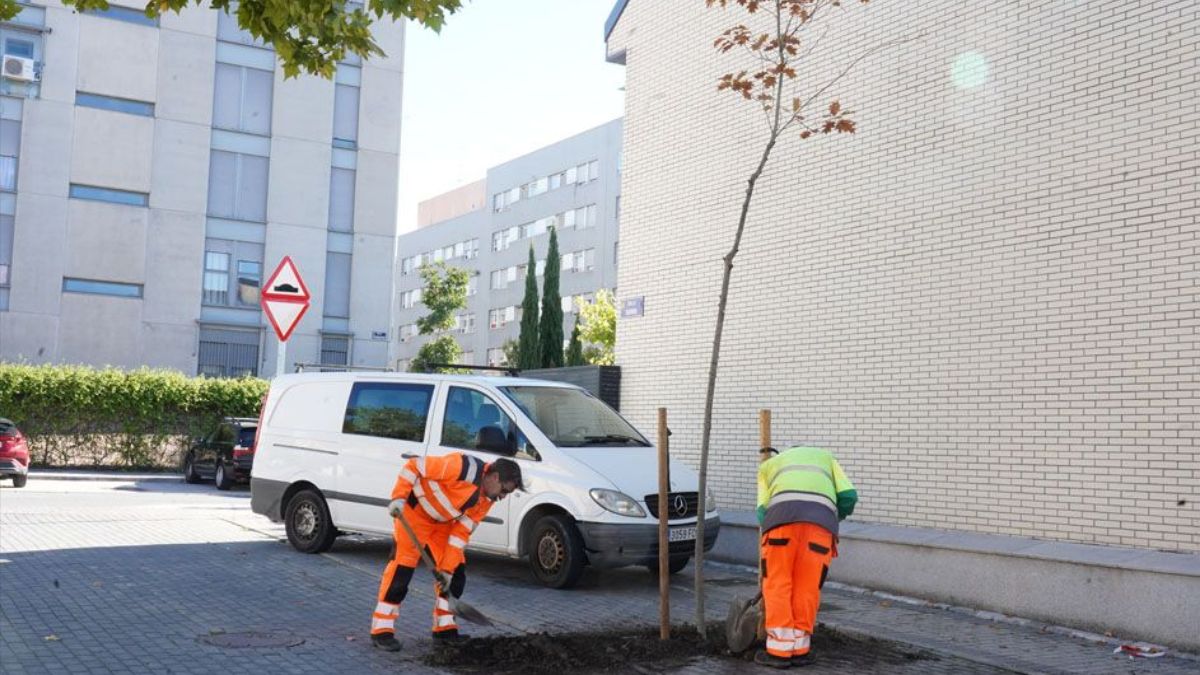 El nuevo acuerdo para el servicio de riego de arbolado de Alcorcón