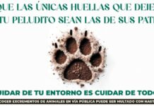 ESMASA y los excrementos de perros