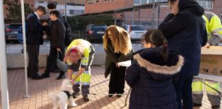 La costosa multa que te puede caer en Alcorcón por no recoger excrementos caninos