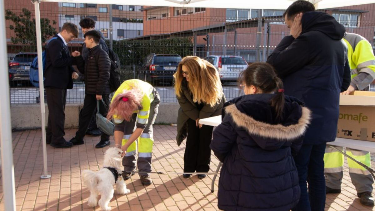 La costosa multa que te puede caer en Alcorcón por no recoger excrementos caninos