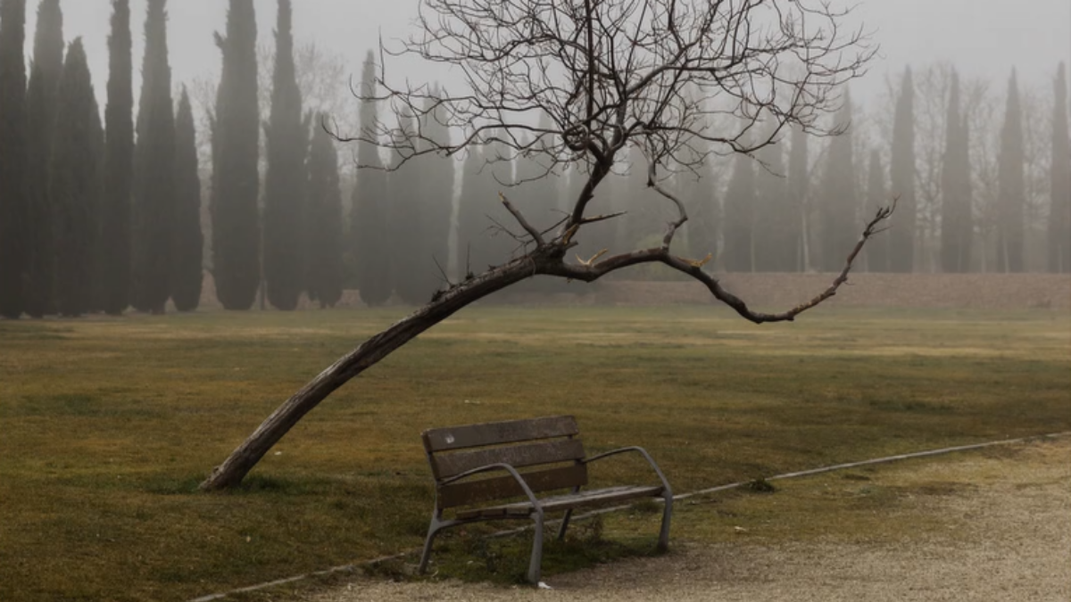 Alcorcón como parte de un reportaje fotográfico de RTVE