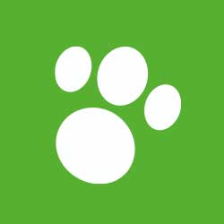 Especialista en animales de compañía en Alcorcón