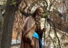 Todo lo que necesitas saber para la procesión de Santo Domingo y San Dominguín en Alcorcón