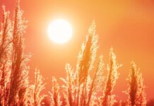 Calor en Alcorcón