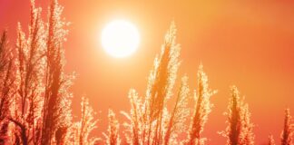 Calor en Alcorcón