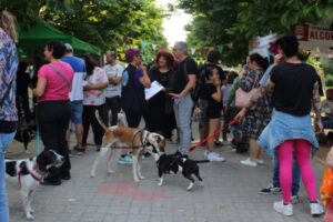 La V Feria de Adopción llega a Alcorcón bajo el nombre de 'San Isidro Ladrador'