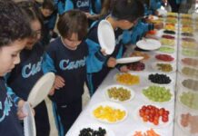 Los beneficios de una alimentación saludable en la educación desde el Eurocolegio Casvi