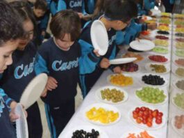 Los beneficios de una alimentación saludable en la educación desde el Eurocolegio Casvi