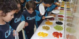 Los beneficios de una alimentación saludable en la educación desde el Eurocolegio Casvi