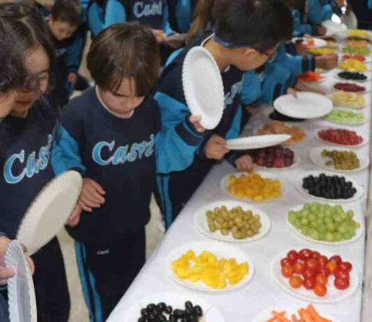 Los beneficios de una alimentación saludable en la educación desde el Eurocolegio Casvi