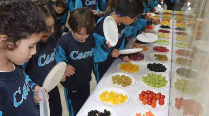 Los beneficios de una alimentación saludable en la educación desde el Eurocolegio Casvi