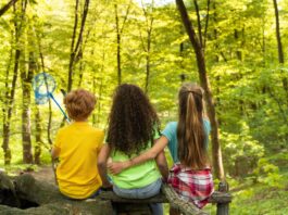 Cómo inscribir a tus hijos en los Campamentos Escolares de Verano en Alcorcón