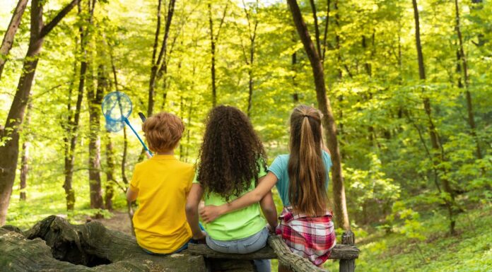 Cómo inscribir a tus hijos en los Campamentos Escolares de Verano en Alcorcón