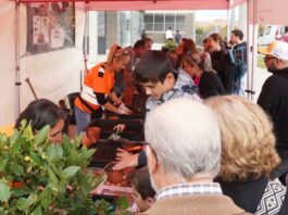 Actividades, talleres y mucha comida: el Ecomercado regresa a Alcorcón