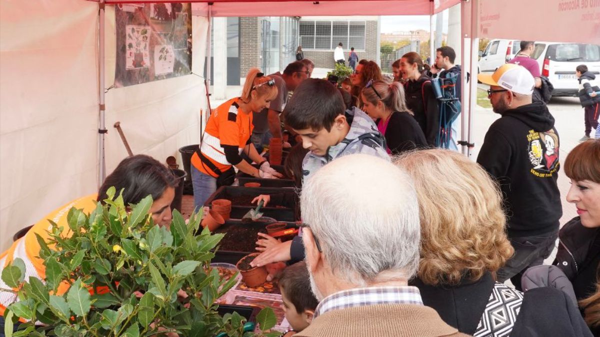 Actividades, talleres y mucha comida: el Ecomercado regresa a Alcorcón