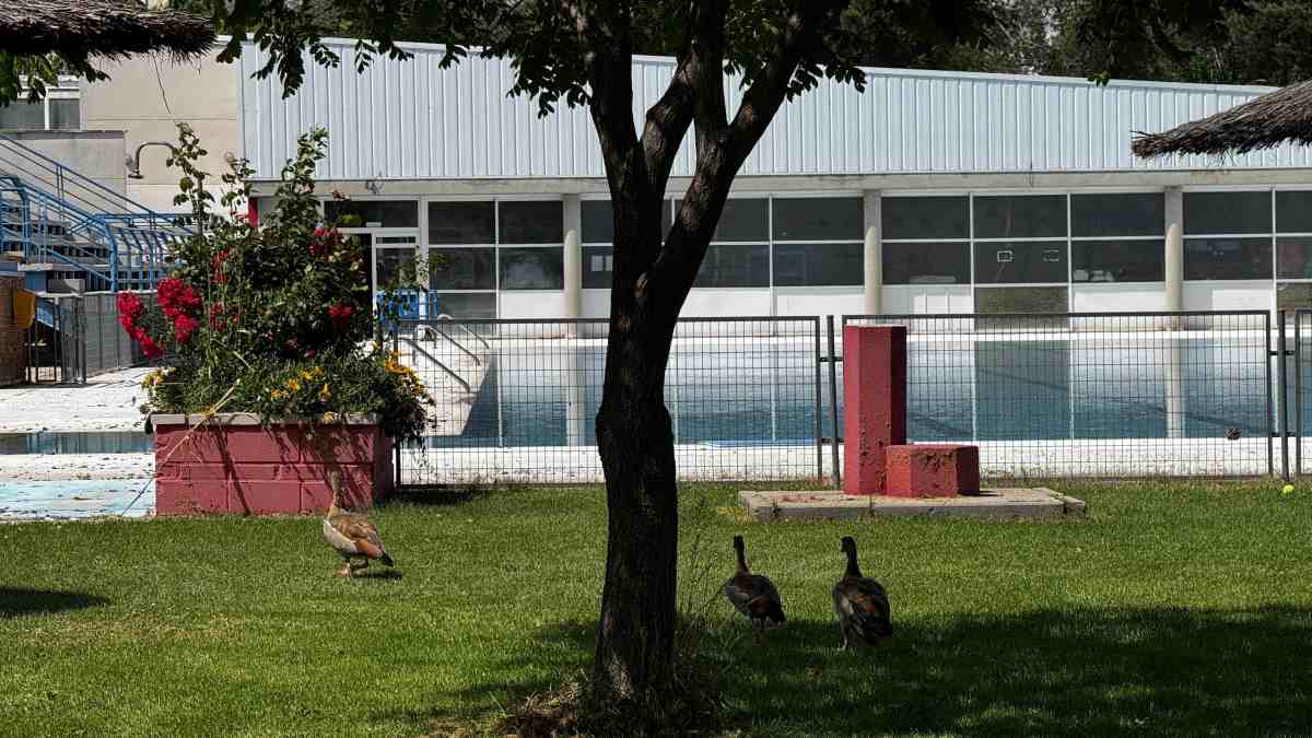 Unos inesperados “bañistas” se adelantan a la apertura de la piscina de Santo Domingo de Alcorcón