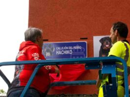 Alcorcón rinde homenaje a Hachiko, el rottwieller que defendió a un menor en un atraco