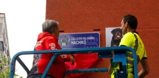 Alcorcón rinde homenaje a Hachiko, el rottwieller que defendió a un menor en un atraco