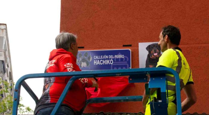 Alcorcón rinde homenaje a Hachiko, el rottwieller que defendió a un menor en un atraco