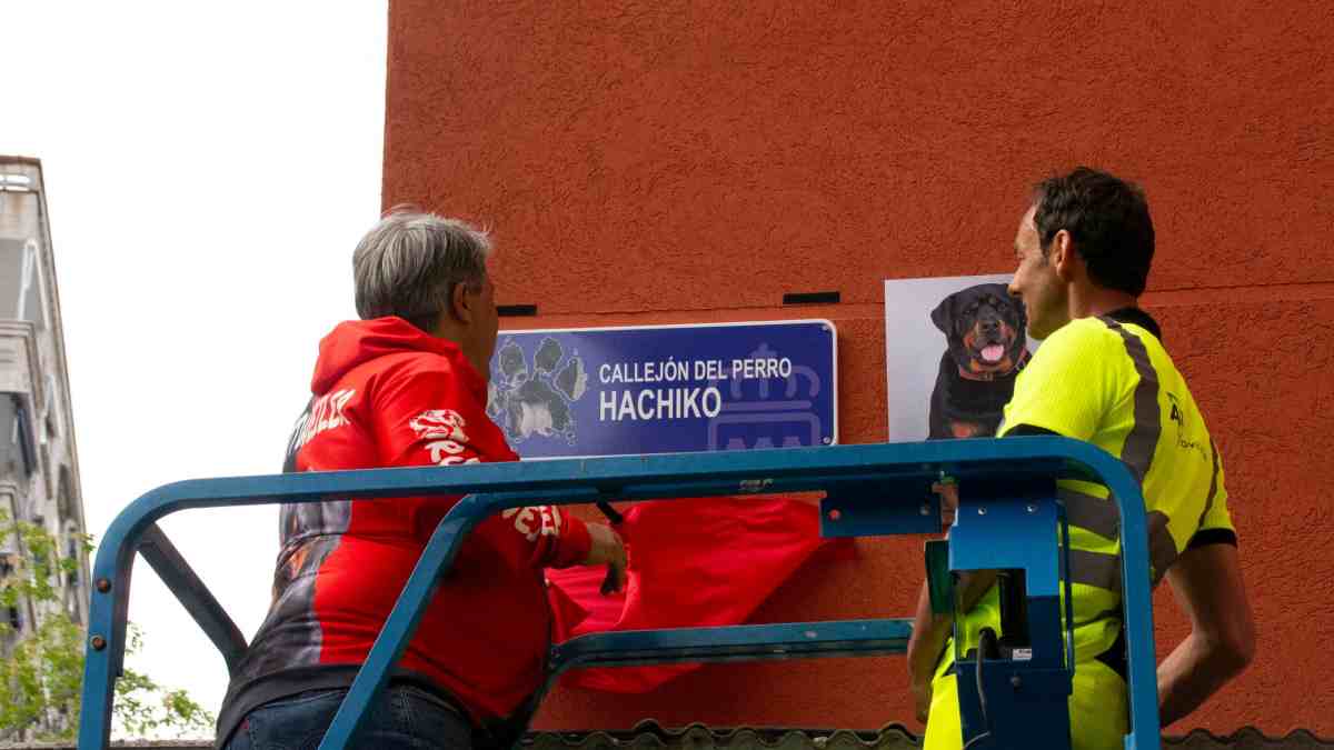 Alcorcón rinde homenaje a Hachiko, el rottwieller que defendió a un menor en un atraco