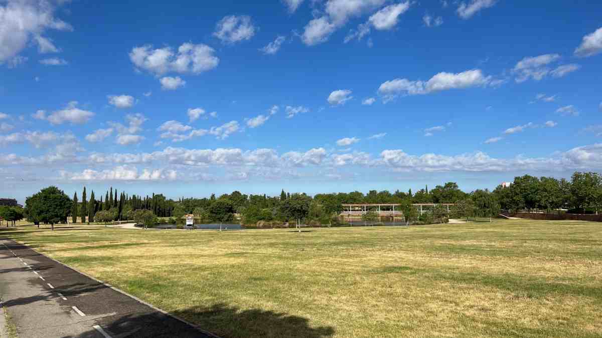 Alcorcón extraño: Un trabajo complicado 