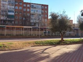 Denuncian envenenamientos de perros en el parque San Pedro Bautista de Alcorcón
