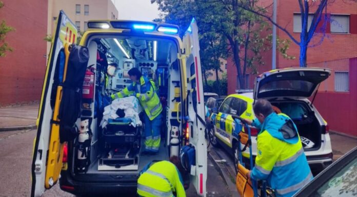 La Policía Municipal asiste a una mujer que da a luz en su casa de Alcorcón