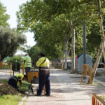 Comienzan por fin los trabajos de renovación en la Calle Robles de Alcorcón